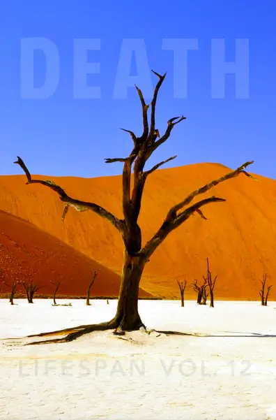 Death Lifespan Vol. 12